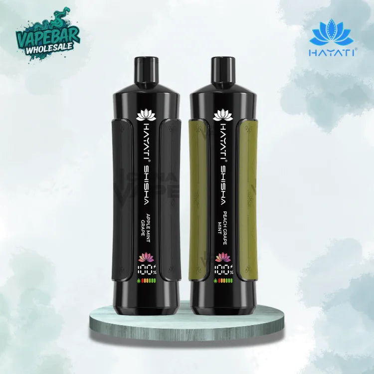Hayati Pro Max Shisha 15000 Puffs Box of 10