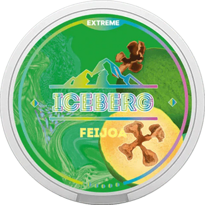 Iceberg Snus 16gr 150mg Pouches - Pack of 10 - Feijoa - vapeukwholesale